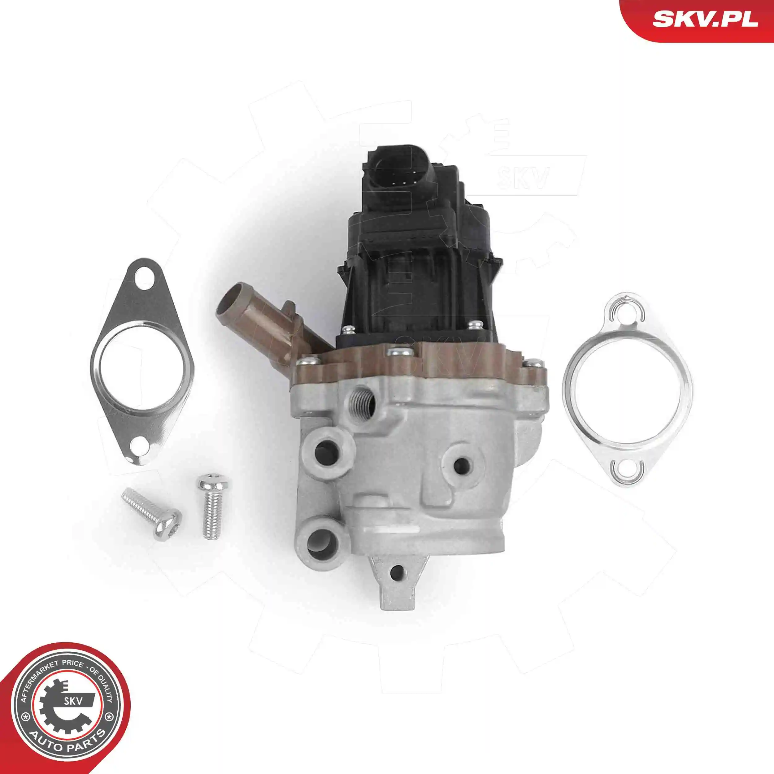 EGR Valve